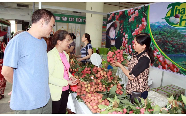 Người tiêu dùng tham quan, mua sắm ở phiên chợ quảng bá, tiêu thụ vải thiều Thanh Hà và nông sản, thực phẩm an toàn tại Hà Nội năm 2020. Ảnh: TUẤN HẢI