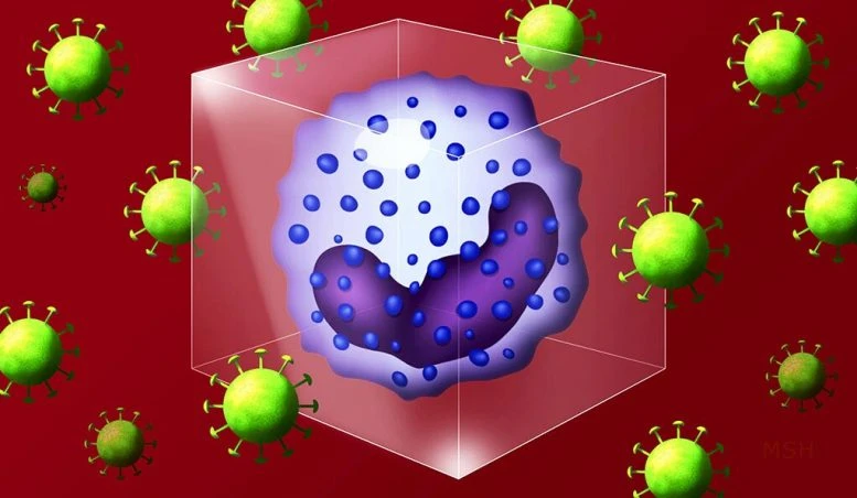Loại thuốc này được tìm thấy hiệu quả nhất trong việc kết hợp SARS-CoV-2 trong số 13.000 loại thuốc hiện có. Ảnh minh họa của Michael S. Helfenbein.