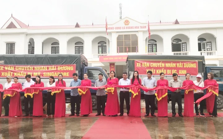 Cắt băng chào mừng lô nhãn đầu tiên xuất khẩu đi Mỹ, Anh, Australia và Singapore.