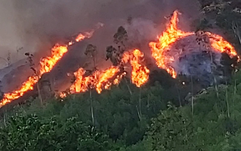 Lực lượng chức năng đang tiếp tục khống chế vụ cháy rừng.