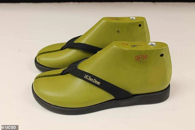 Các nhà nghiên cứu đã pha chế bọt xốp làm từ dầu tảo, để đáp ứng các thông số kỹ thuật thương mại cho đế giữa của giày và đế lót chân của dép xỏ ngón.