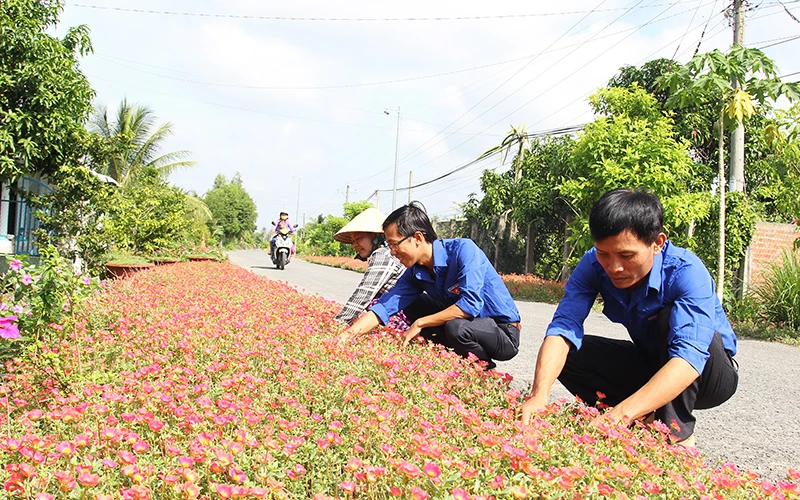 Ðoàn viên xã Chánh An cùng với người dân chăm sóc tuyến đường hoa tạo mỹ quan vùng nông thôn huyện Mang Thít (Vĩnh Long). 