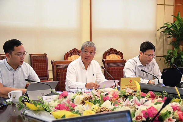 Thứ trưởng Nguyễn Thành Hưng phát biểu tại phiên họp từ đầu cầu Việt Nam.