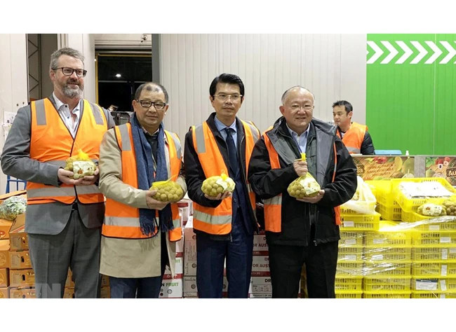 Đại diện Bộ Nông nghiệp và Nguồn nước Ô-xtrây-li-a, Hiệp hội doanh nhân Việt Nam, Thương vụ Việt Nam tại Ô-xtrây-li-a và Công ty Aus Asia Produce tại quầy bán trái nhãn từ Việt Nam. Ảnh: NGUYỄN MINH