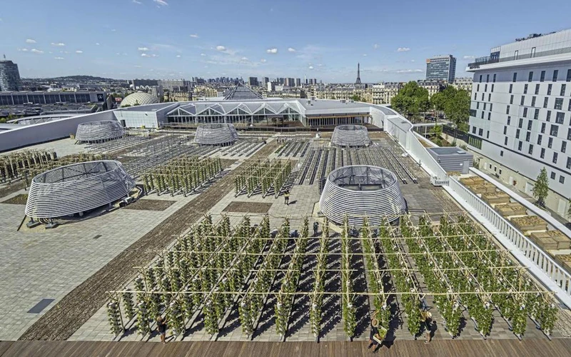 Nông trại Nature Urbaine tọa lạc trên mái nhà của một trung tâm triển lãm, ở Thủ đô Paris của Pháp. (Ảnh: The Sunday Times)