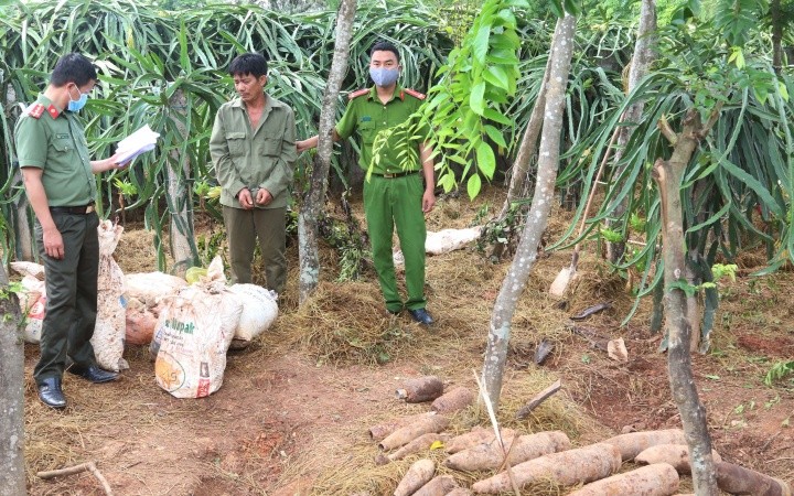 Quảng Bình bắt hai đối tượng mua bán trái phép 454 kg thuốc nổ