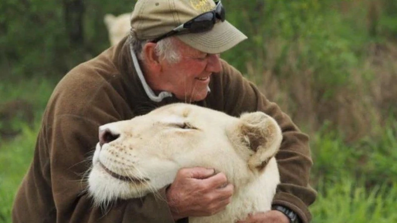 Nhà bảo tồn West Mathewson đang chơi đùa với một trong hai con sư tử trắng.