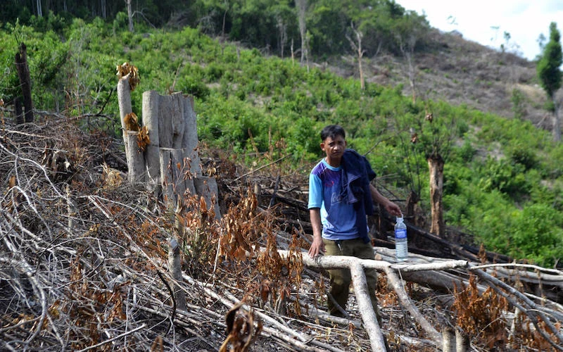 Hiện trường tại một số vị trí rừng tại xã Phú Mỡ bị người dân lấn chiếm lấy đất sản xuất.