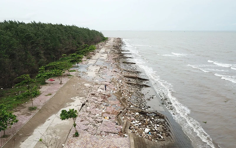 Toàn cảnh hàng cây số kè bảo vệ khu du lịch sinh thái Rạng Đông (huyện Nghĩa Hưng, Nam Định) bị sập, vỡ.