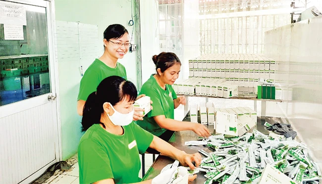 Nhân viên đang đóng gói sản phẩm bột rau sấy lạnh tại Công ty TNHH Xuất nhập khẩu Thiên Nhiên Việt.