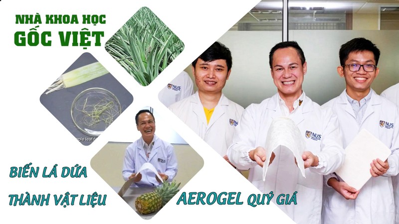 Nhà khoa học gốc Việt biến lá dứa thành vật liệu aerogel vô giá
