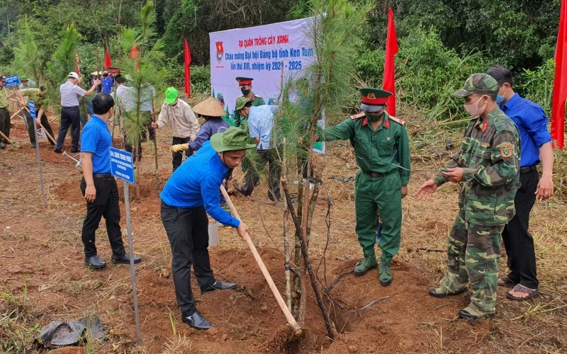Các đại biểu trồng cây thông ba lá tại khu vực ngã ba thị trấn Măng Đen, huyện Kon Plông, tỉnh Kon Tum. 