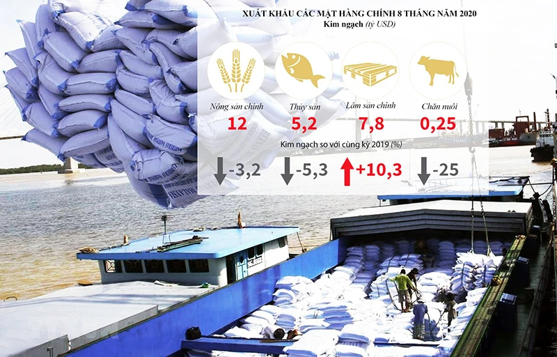 Với thuế suất còn 0%, xuất khẩu gạo của Việt Nam được kích hoạt để chinh phục thị trường EU. Nguồn: Bộ Nông nghiệp và Phát triển nông thôn. Biểu đồ: ĐĂNG PHI