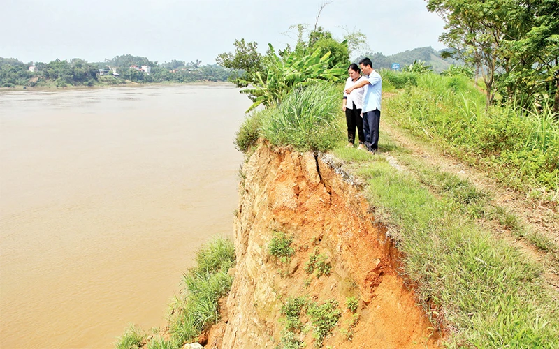 Tuyến đê ở thôn Hưng Thịnh, xã Trường Sinh, huyện Sơn Dương (Tuyên Quang) bị sạt lở gần một nửa.