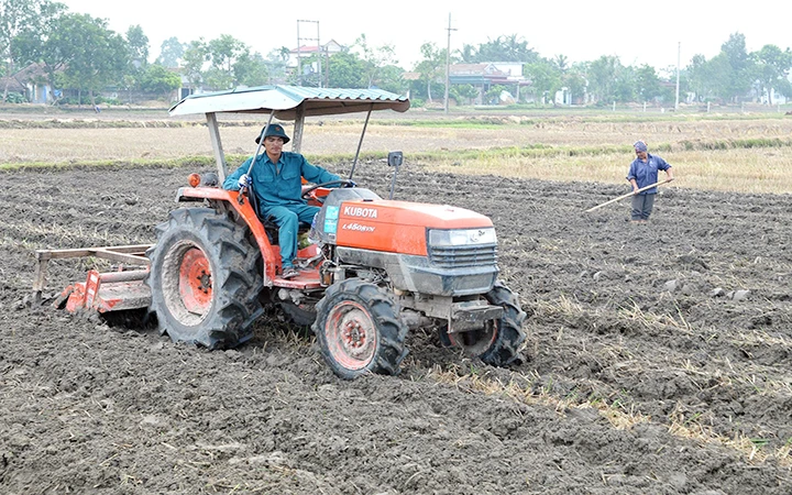 Người dân huyện Hậu Lộc (Thanh Hóa) làm đất trồng rau màu vụ đông. Ảnh: NGỌC MAI
