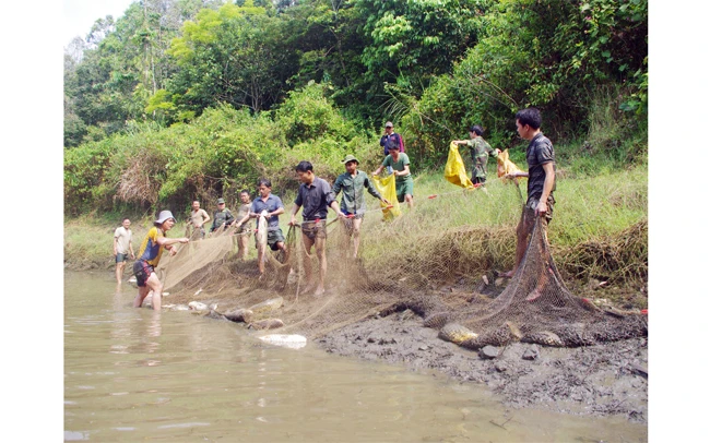 cho đồng bào dân tộc thiểu số Cán bộ, chiến sĩ lực lượng vũ trang huyện Bắc Trà My (Quảng Nam) giúp người dân thu hoạch cá.