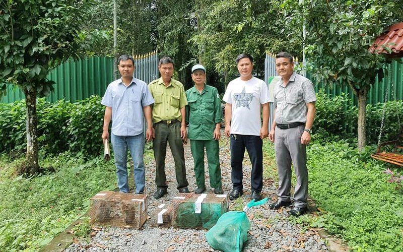 Cơ quan chức năng thành phố Bảo Lộc bàn giao động vật hoang dã cho Vườn Quốc gia Cát Tiên.