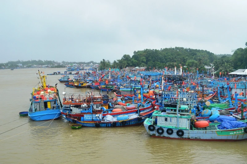 Tàu cá của ngư dân Bình Sơn (Quảng Ngãi) vào bờ tránh bão số 6.