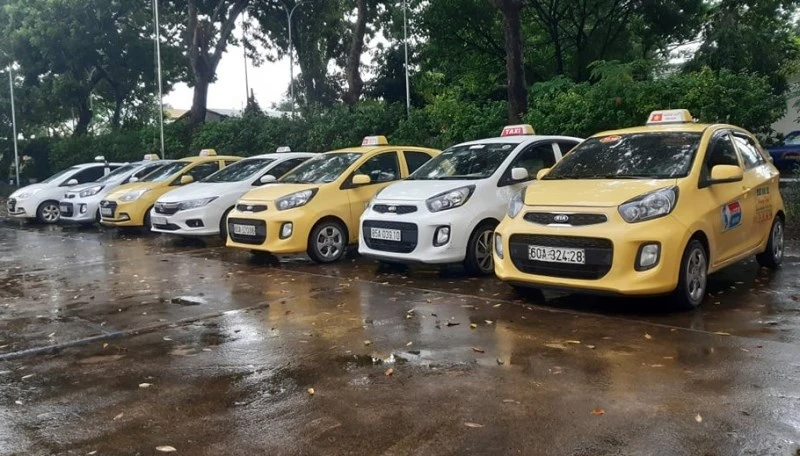 Số xe ô-tô taxi đang bị tạm giữ. 