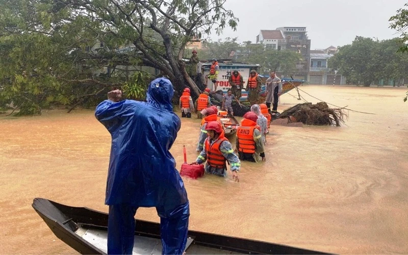 Chiếc thuyền rồng du lịch bị cây lớn bật gốc, đè ngang thuyền.