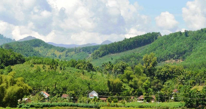 Vùng miền núi tỉnh Quảng Ngãi thường hay xảy ra động đất.