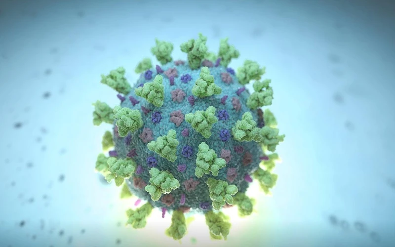 Hình ảnh mô phỏng Betacoronavirus. (Ảnh: Reuters)