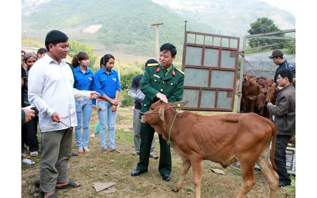 Đại diện Đoàn KT-QP 5 (Quân khu 4) trao bò giống tặng nhân dân xã miền núi cao Pù Nhi, huyện Mường Lát (Thanh Hóa).