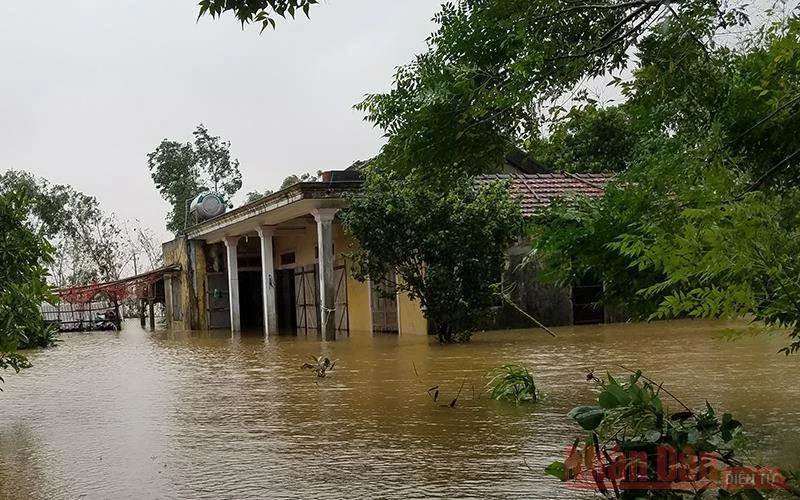 Người dân Quảng Bình vừa mới dọn nhà, chưa kịp khô lại ngập trong nước lũ.