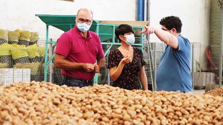 Vỏ hạnh nhân được thu gom tại Hợp tác xã nông nghiệp Vega De Pliego. Ảnh: MURCIA