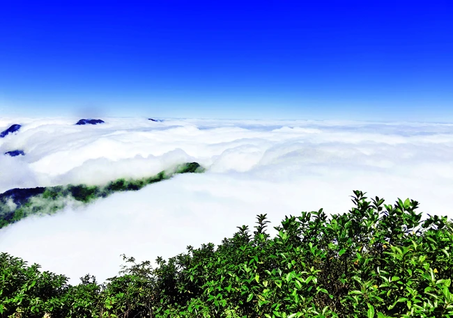 Biển mây trên đỉnh Ky Quan San ở độ cao 3.046 m.