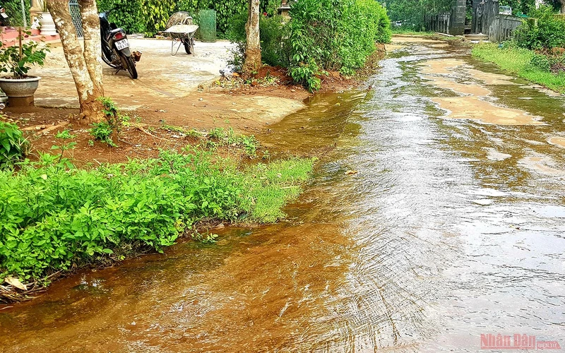 Nước ngầm chảy tràn lan trên đường làng Gia Bình.