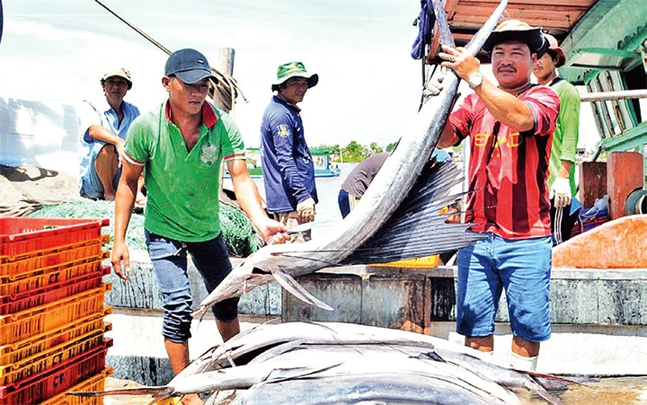 Ngư dân bốc xếp thủy sản tại Cảng cá Gành Hào, huyện Đông Hải (Bạc Liêu) sau chuyến ra khơi. Ảnh: HỮU THỌ