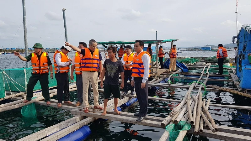 Ông Phạm Đại Dương, Bí thư Tỉnh ủy, Chủ tịch UBND tỉnh Phú Yên trực tiếp kiểm tra công tác phòng, chống bão lũ tại các khu vực xung yếu.