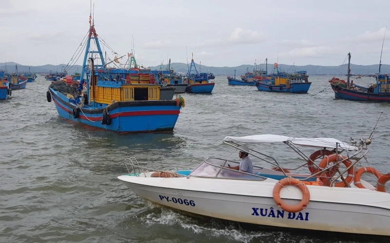 Tàu thuyền neo đậu an toàn tại cảng cá Dân Phước, thị xã Sông Cầu, tỉnh Phú Yên. 