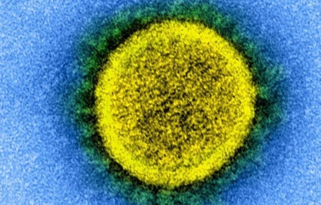 Sự lây truyền của virus SARS-CoV-2. Ảnh: NIH.