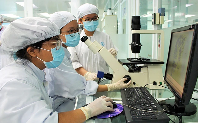 Các nhà nghiên cứu làm việc trong phòng thí nghiệm của Viện Tế bào gốc (Đại học Quốc gia TP Hồ Chí Minh). Nguồn: Viện Tế bào gốc 