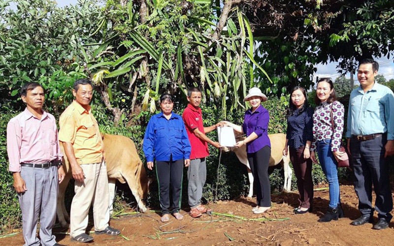 Chị Thanh Tuyền trao bò tặng hộ nghèo ở phường Chi Lăng, TP Pleiku (Gia Lai). 