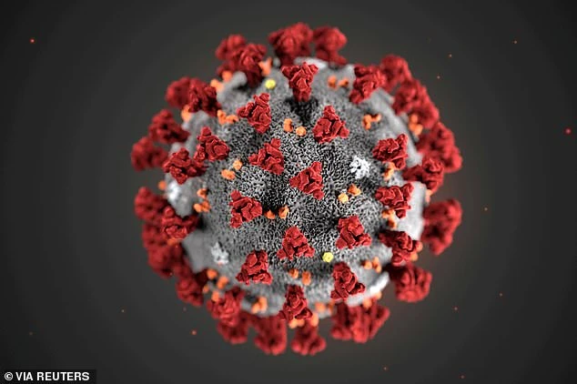 Một dòng virus SARS-CoV-2 đột biến có nguồn gốc từ Tây Ban Nha có thể là thủ phạm gây ra làn sóng dịch Covid-19 thứ hai thảm khốc ở châu Âu, một nghiên cứu tuyên bố.
