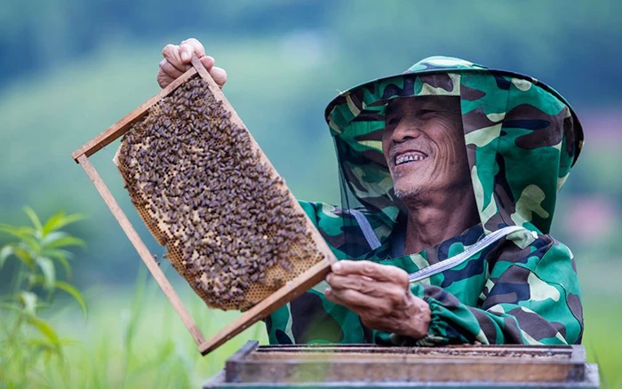 Bác Nguyễn Thượng Hiền, một người cao tuổi, tham gia phát triển kinh tế gia đình qua việc nuôi ong ở huyện Sơn Động, Bắc Giang (Ảnh minh họa: UNFPA Việt Nam/Nguyễn Minh Đức).