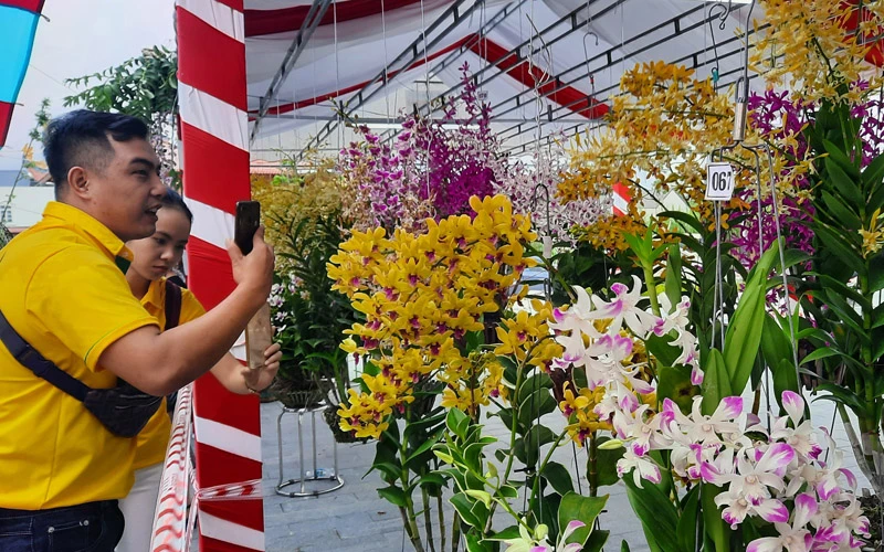 Đông đảo người dân địa phương và khách du lịch đến thưởng thức vẻ đẹp của những giò hoa từ khắp mọi miền Tổ quốc.   