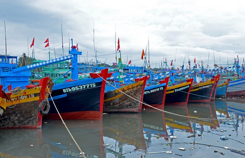 Tàu thuyền neo đậu, tránh trú bão trên sông Cà Ty, TP Phan Thiết (Bình Thuận).
