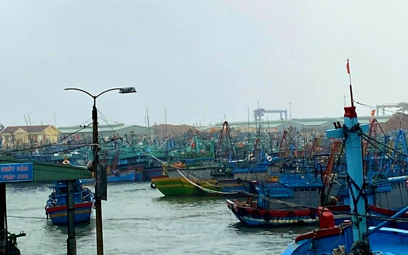 Tàu cá ngư dân vào tránh trú bão trong Cảng cá Quy Nhơn. (Ảnh: Đào Xuân Thiện)