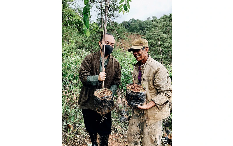 Một trong những hoạt động phối hợp trồng và giữ rừng tại huyện Lạc Dương (tỉnh Lâm Đồng). Ảnh: Dự án Rừng Việt Nam