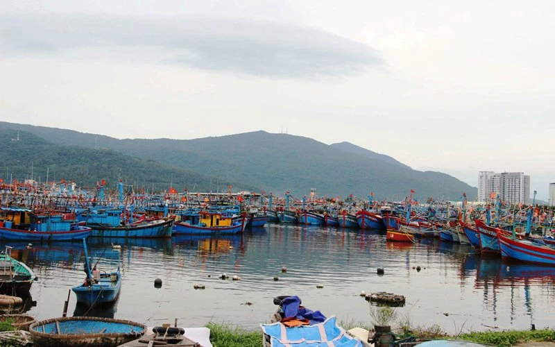 Âu thuyền và Cảng cá Thọ Quang cần có sự tham gia của cộng đồng để xóa ô nhiễm.