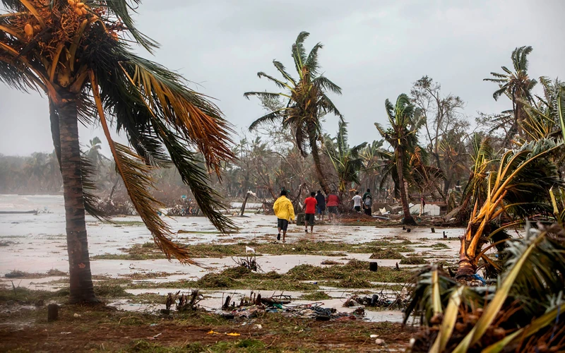 Bão quật đổ cây bên bờ biển Nicaragua. (Ảnh: Getty Images)