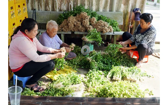 Cán bộ, đảng viên xã Tham Đôn (huyện Mỹ Xuyên) tiếp xúc với người dân trồng hoa màu theo hướng hữu cơ tại địa phương.