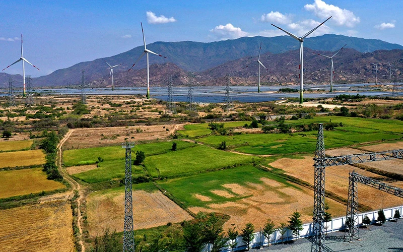 Một nhà máy điện gió ở Ninh Thuận. Ảnh: Ngọc Hà 