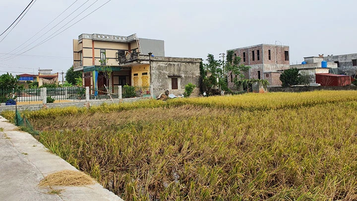 Người dân tự ý san lấp ruộng, xây dựng trái phép trên đất nông nghiệp tại xã Nam Hồng.