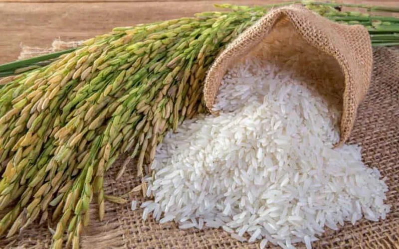 Campuchia xuất khẩu gạo đi 60 quốc gia trên thế giới (Ảnh: Fresh News).