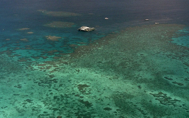 Biến đổi khí hậu khiến các rạn san hô bị tẩy trắng (Ảnh: AP)